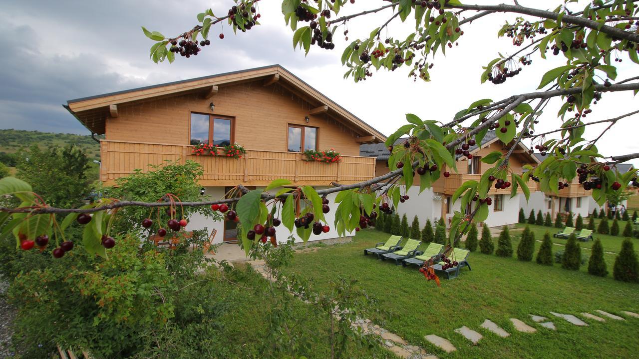 Green Resort Bran Bran (Brasov) Exterior foto